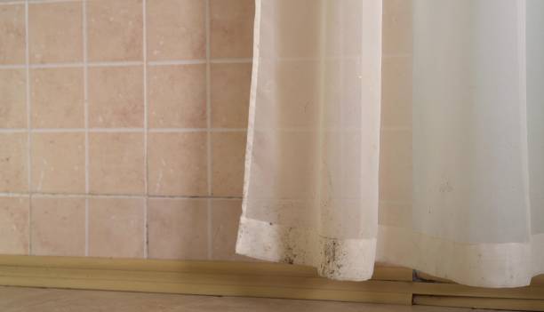 Best Indoor Air Quality Assessment  in Le Center, MN