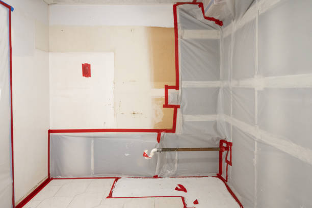 Best Asbestos and Lead Testing During Mold Inspection  in Le Center, MN