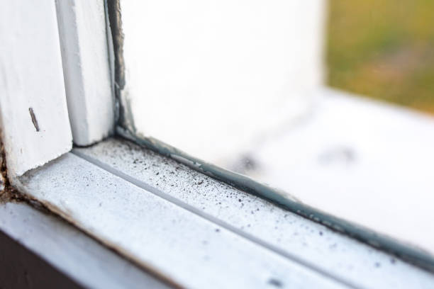 Dehumidification Services in Le Center, MN