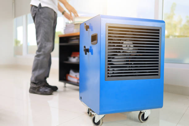 Best Environmental Consulting for Mold Prevention  in Le Center, MN