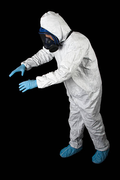 Best Mold Damage Restoration  in Le Center, MN