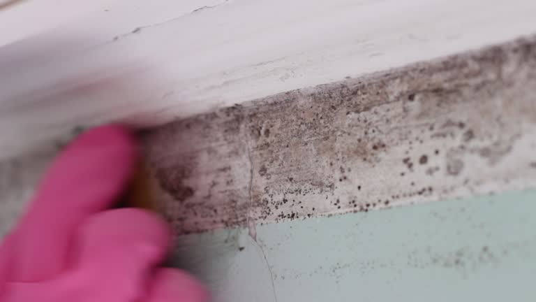 Best Residential Mold Inspection & Testing  in Le Center, MN